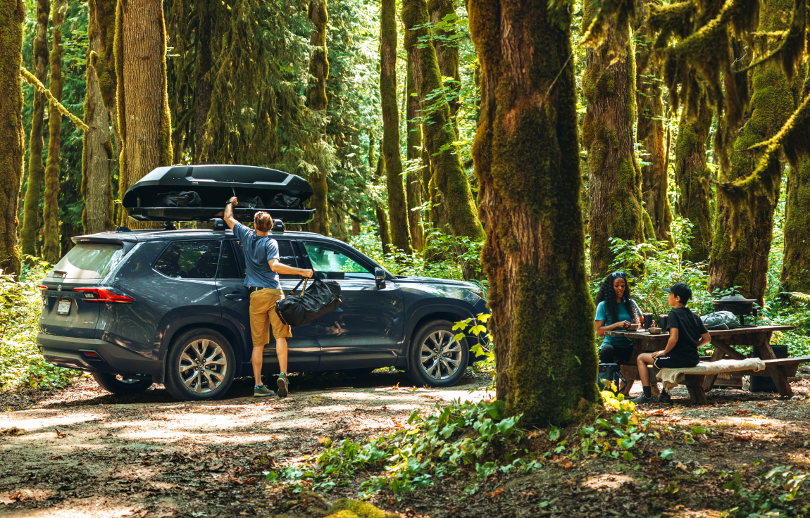 Family Roof Boxes
